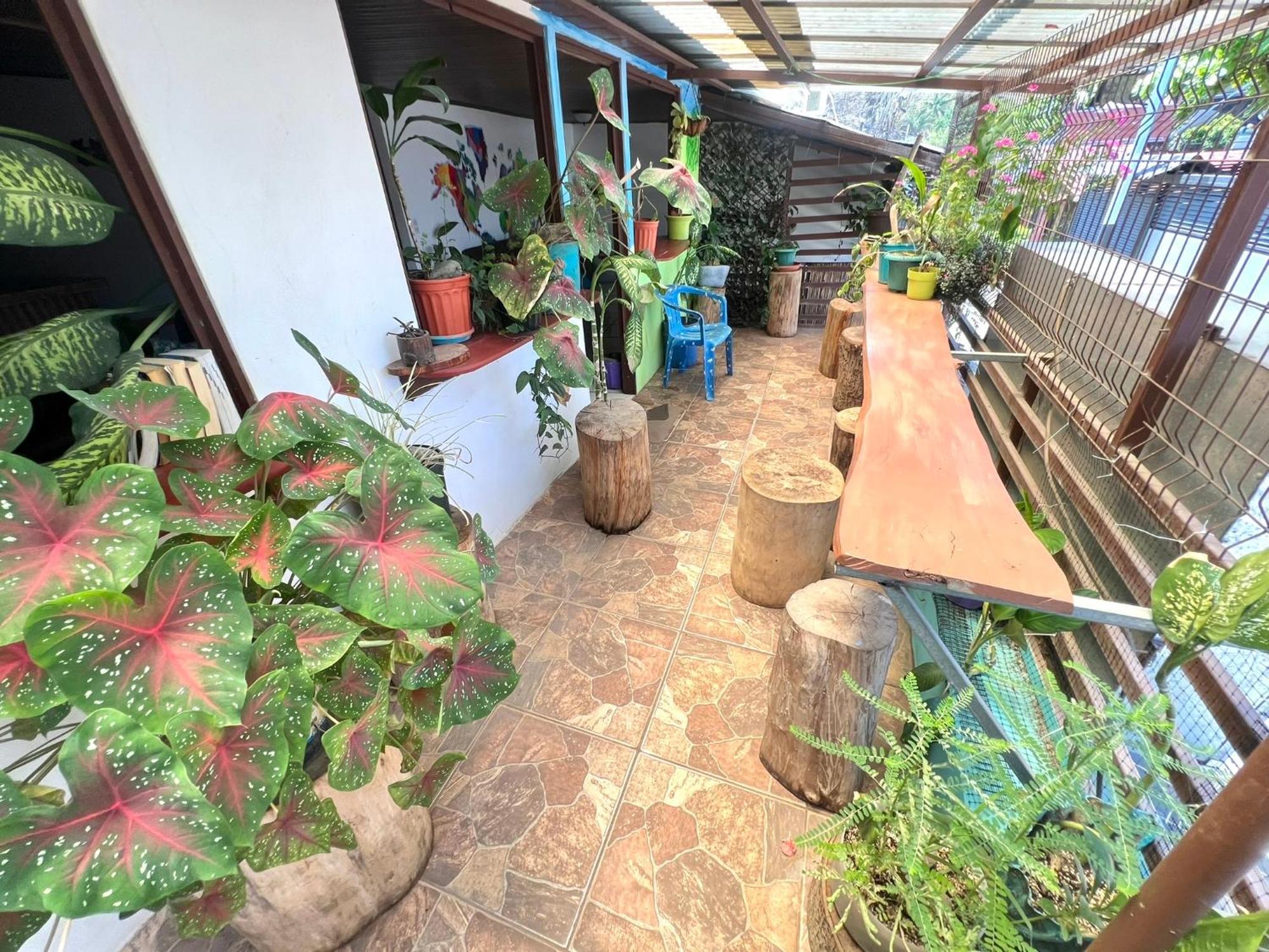 Passifloras Hostel Quepos Extérieur photo